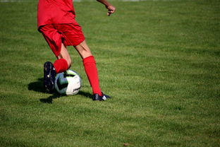 米兰体育登陆-篮球运动员训练负荷智能监控系统研发及应用，基础阶段篮球训练负荷安排